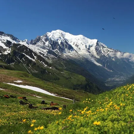 Appartement Balcon Des Aravis *