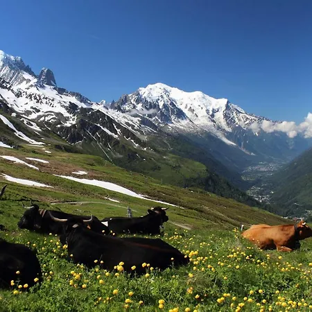Appartement Balcon Des Aravis *